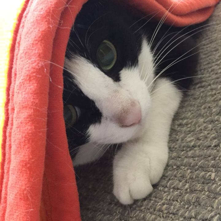 Adc0015b df80 4888 80cb 5e8661fcddf5