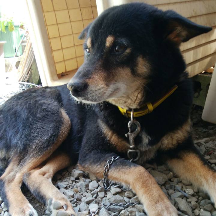 Adc084e1 e7a9 4966 b35e 0ef70114e3bb