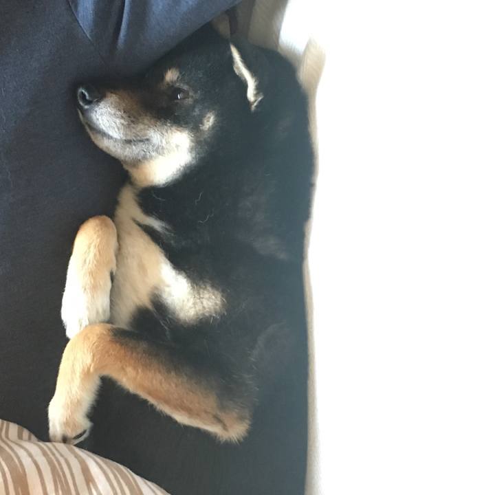 Adc08767 a85f 4529 aedd c5c22061f9a5