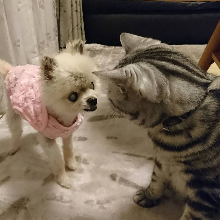 Adc0dfa2 2cb6 437c 852d 17078f4d5198