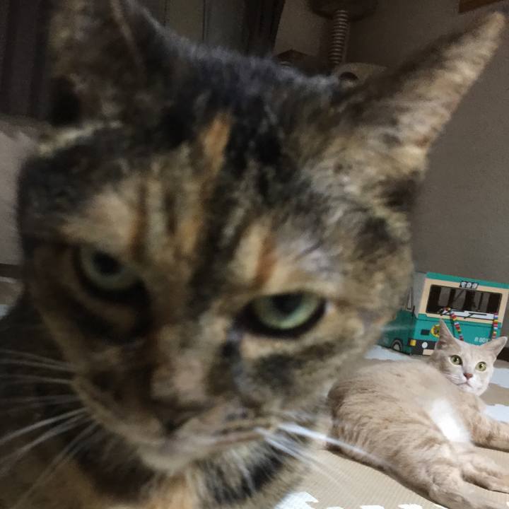 Adc11aa8 a904 4b96 88be 3772a86c96ea