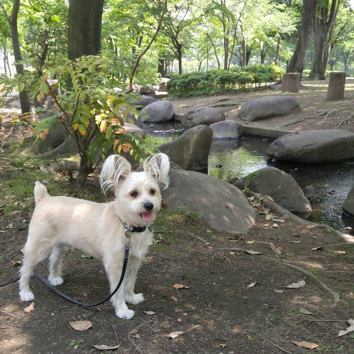 Adc17cf4 b2ce 4517 9059 8806dd4c4519