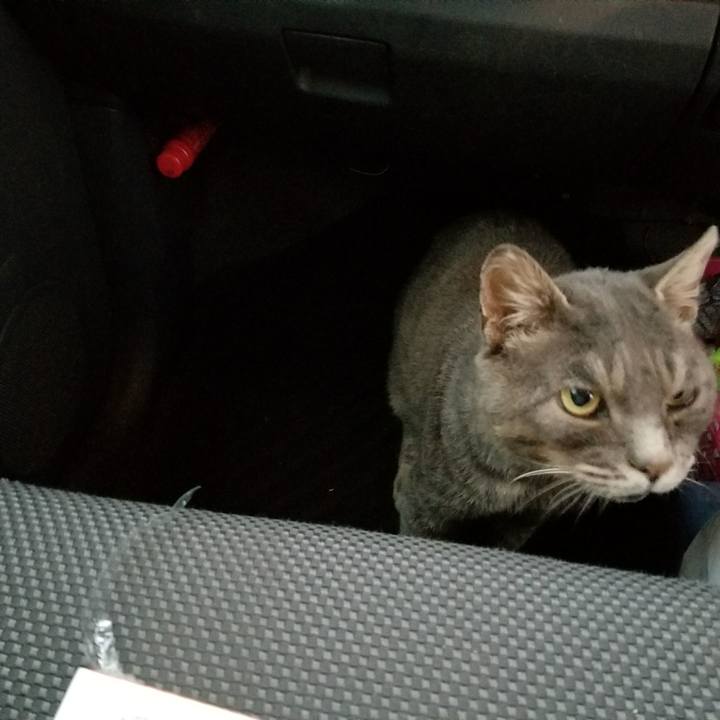 Adc1d569 2eaf 4dff 86d0 9e9962a6f645