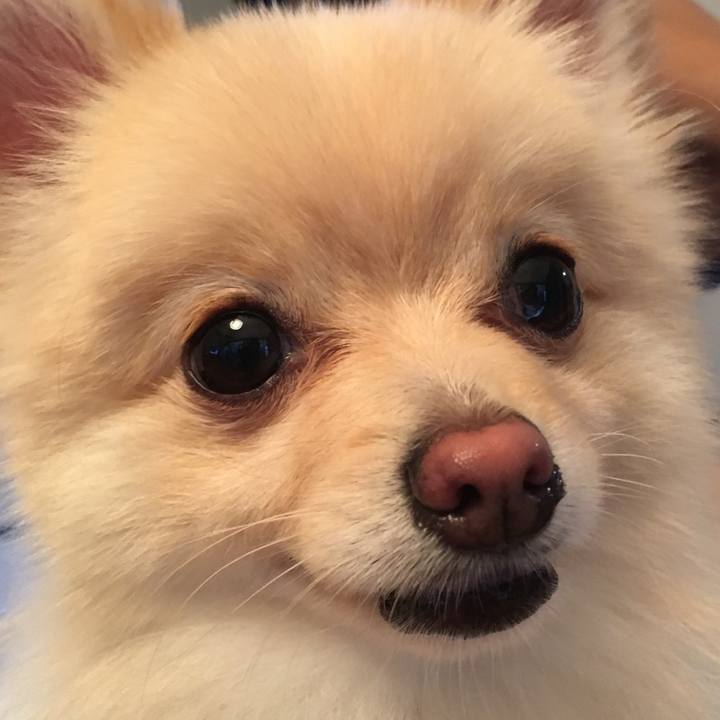 Adc35a38 ae26 4b08 921f 20a3e0ff1d7e