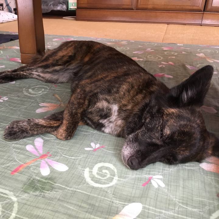 Adc44e67 1f3c 411f 89c4 199ef3034fcd