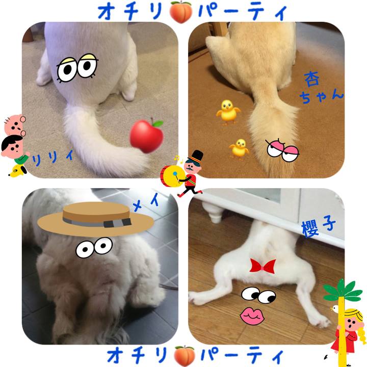 Adc44ff9 2ca4 49f8 91cb ac113c38b29b