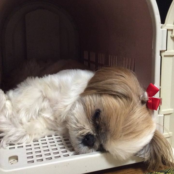 Adc4b609 3d68 4ee9 bfb6 401e365a644f