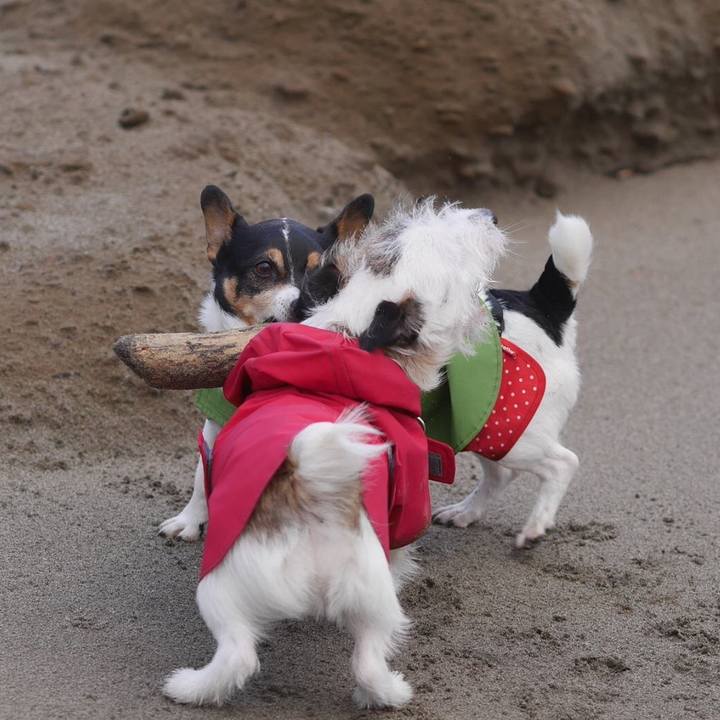 Adc52063 27ef 4d15 be4e ce38f8ba96d4