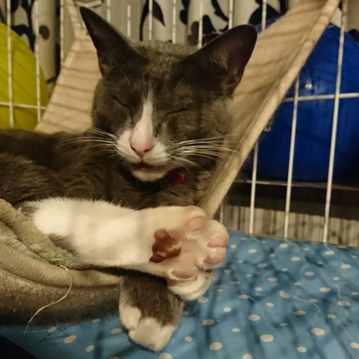 Adc52787 902f 4baa b14b af7cb362d431