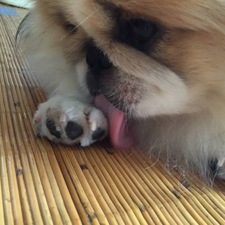 Adc54ab0 01ae 4f16 8a2c 8fa6725d8f40