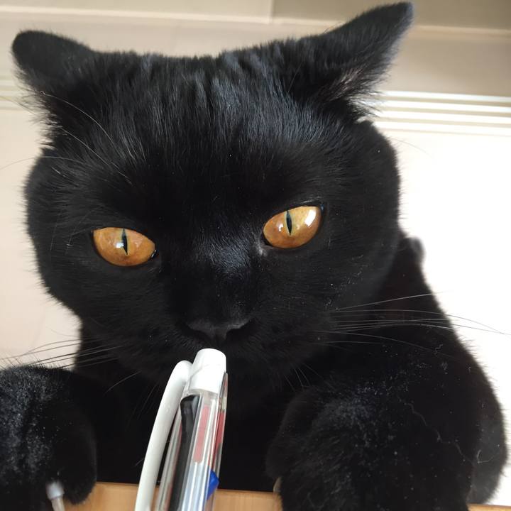 Adc54b94 e822 4b17 8784 c4cd5ae3aeae