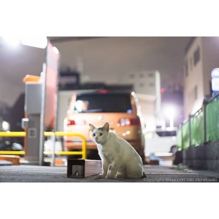 Adc5c40b e63d 4e84 aa4c 1dd4dc4291e9