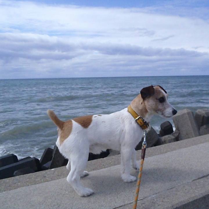 Adc5ca02 95ec 4b26 a450 0c185a024f4e