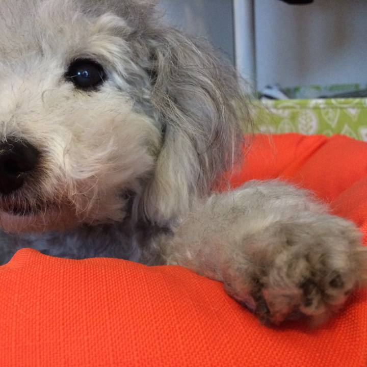 Adc65336 aea1 4250 868b 57d05071020d