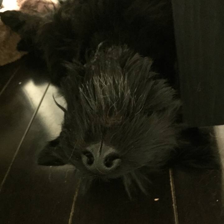 Adc7e172 4d88 4f69 aead a40a3eecd2b4