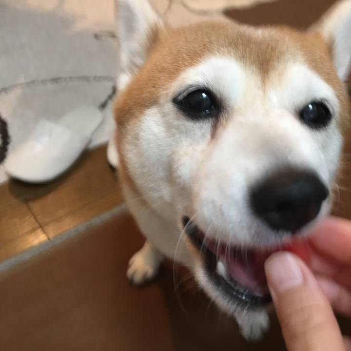 Adc7e1c3 bf7a 4670 8352 a456b5fda609