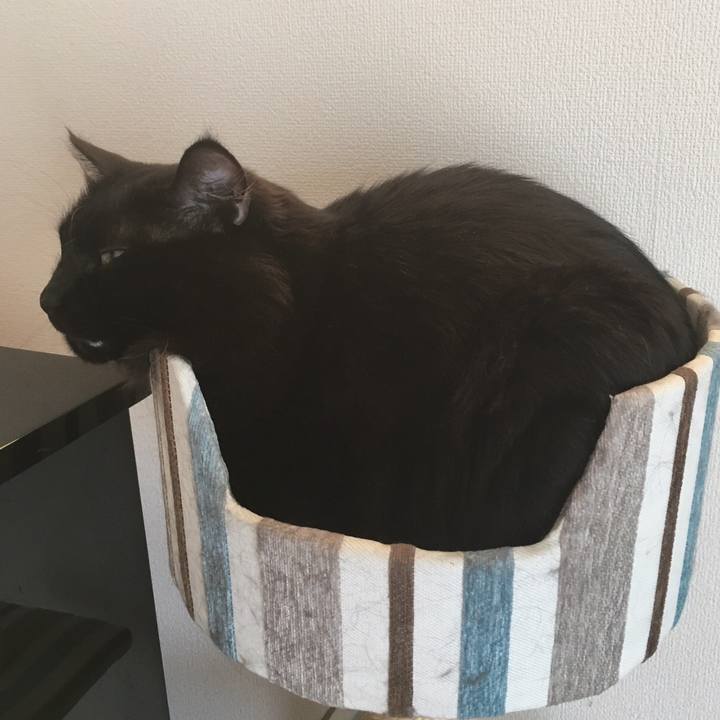 Adc7e8ac fd4e 4b53 84a9 0eb64ad39075