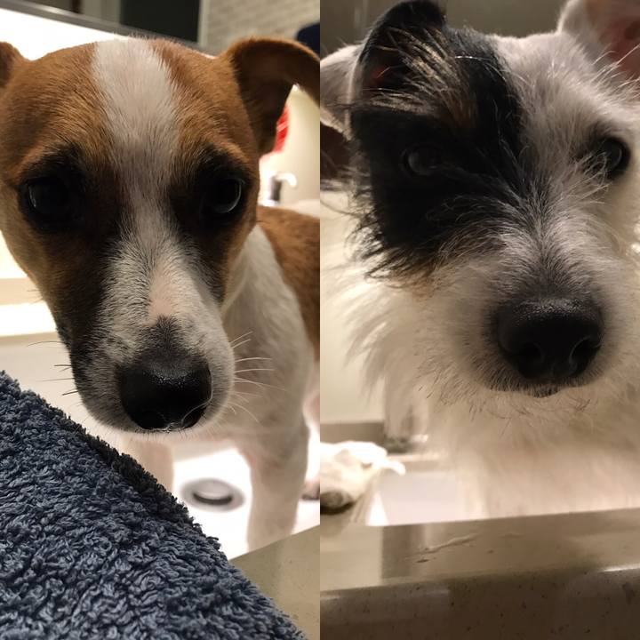 Adc89814 0e2a 4dba a747 7133f199ce48