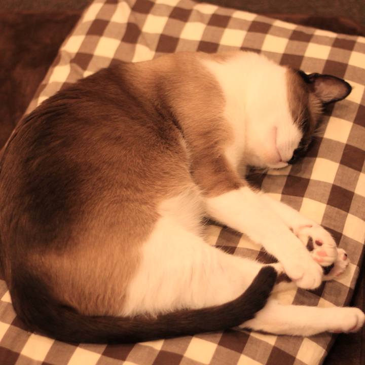 Adc89955 b719 4c3c b486 78ce4581cd29