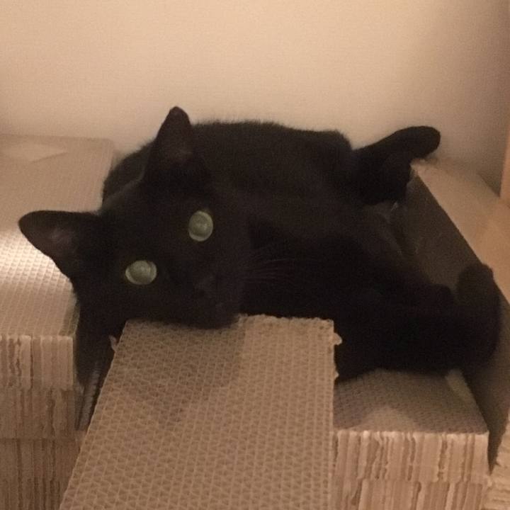 Adc89c82 783e 47fb bce3 333efbc6a9aa