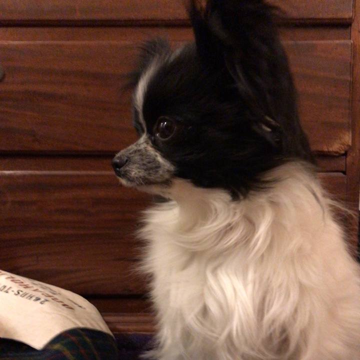 Adc8f5d9 d5ce 4838 9c3a 33ea774b500d