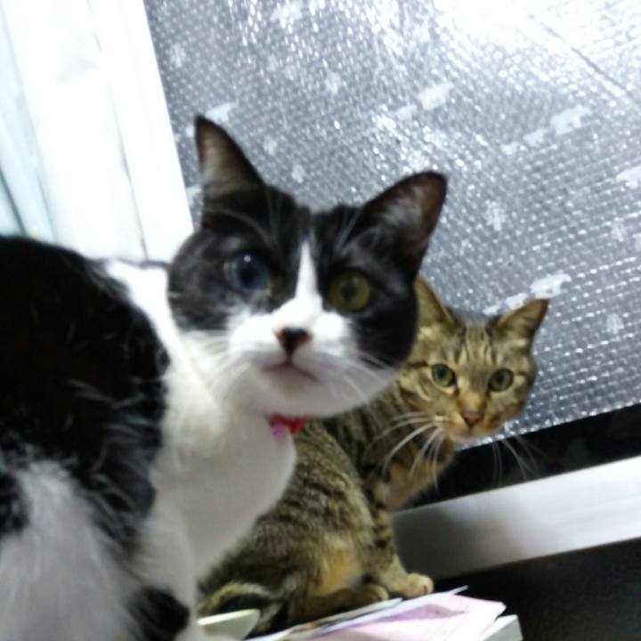 Adc93627 194b 4fed 810c a075f69735d2