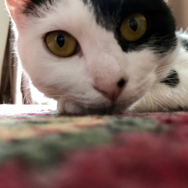 Adc9aaf0 cba8 4733 9926 1736fa4a2b35