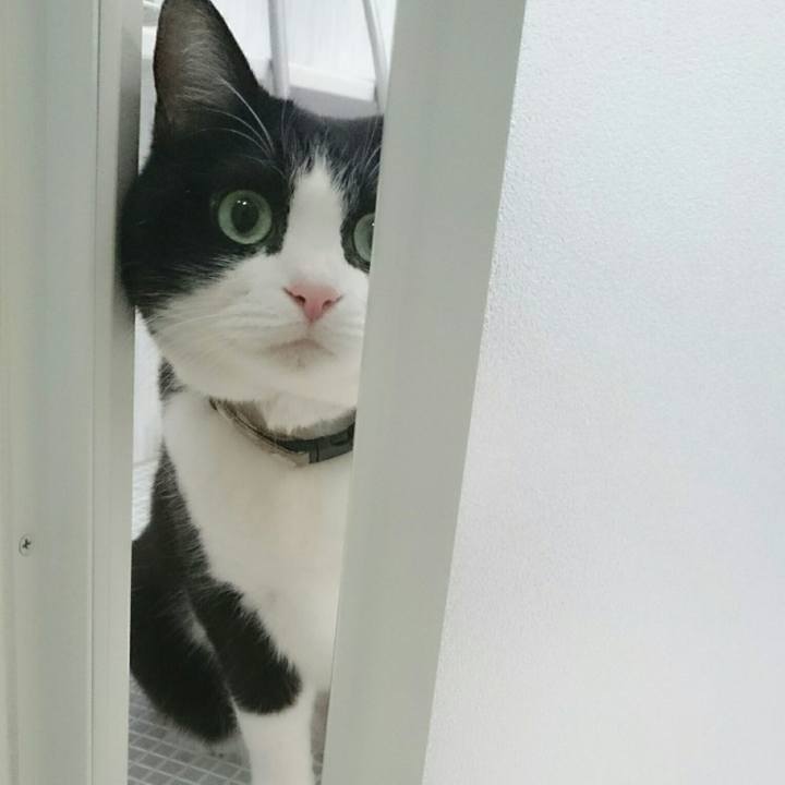 Adcab0d4 b33a 430c bf67 4333565451b1