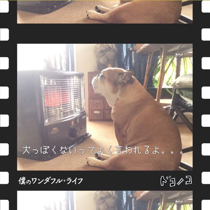 Adcabd60 5974 40f5 8245 d7da896be884