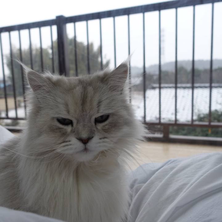 Adcaf7ff 1778 49c1 a1d5 b698425d9701