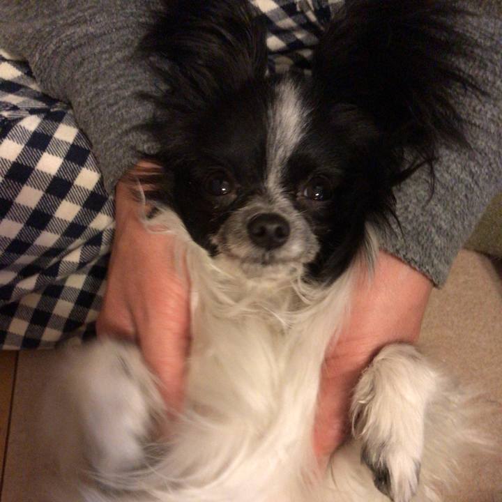 Adcb1eee 29d4 4a46 bcc0 c6b300539e8b