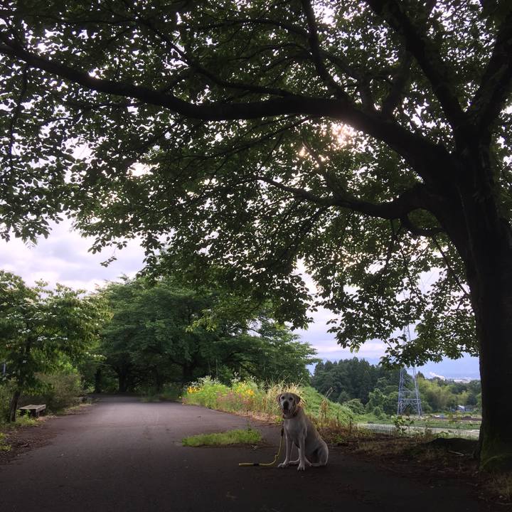 Adcb562f e47a 44cc a913 d91da9f43d81