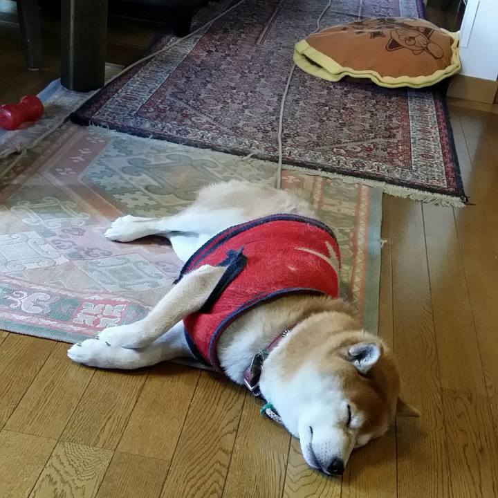 Adcba1b2 274d 4442 a636 395b15dd241c