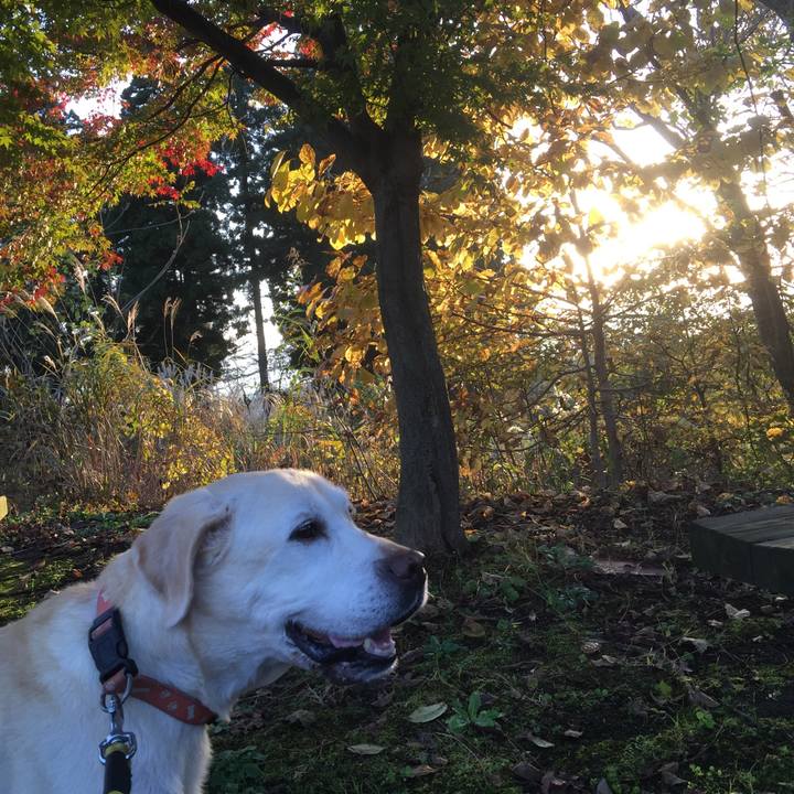 Adcc6740 6c30 4c79 b606 b3a73e84f6a2