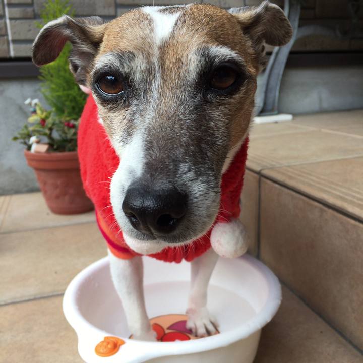 Adce0852 4373 48b1 8d3a 31b32e2ecd8d