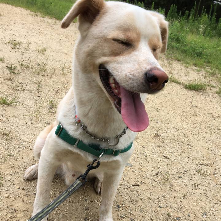 Adcf1d09 7d92 4a16 be74 7c0314fb2648