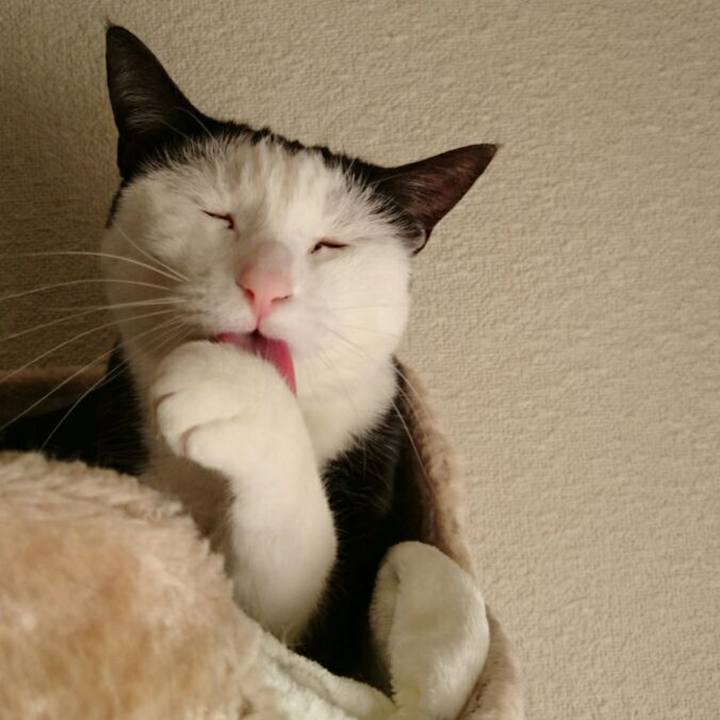 Adcf9f09 6730 432c a085 091e457ae868