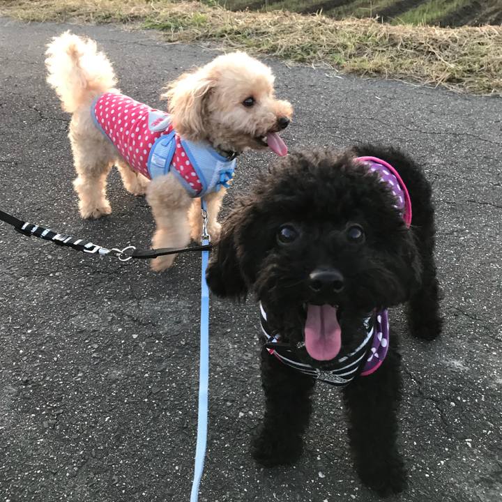 Adcfa960 4d1a 4c32 974b 59f5246061bc