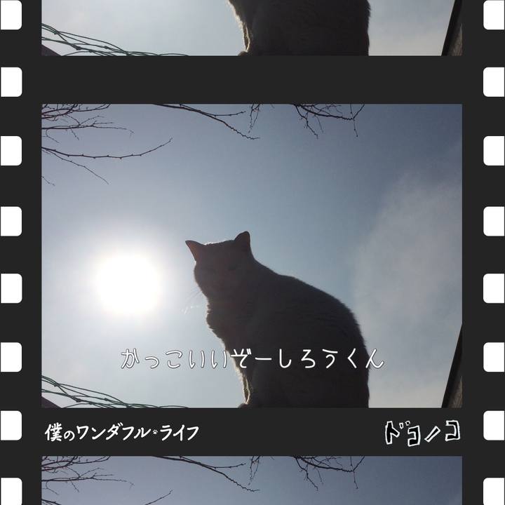 Adcfaae7 22d3 4c7c a88c b58124b7877f