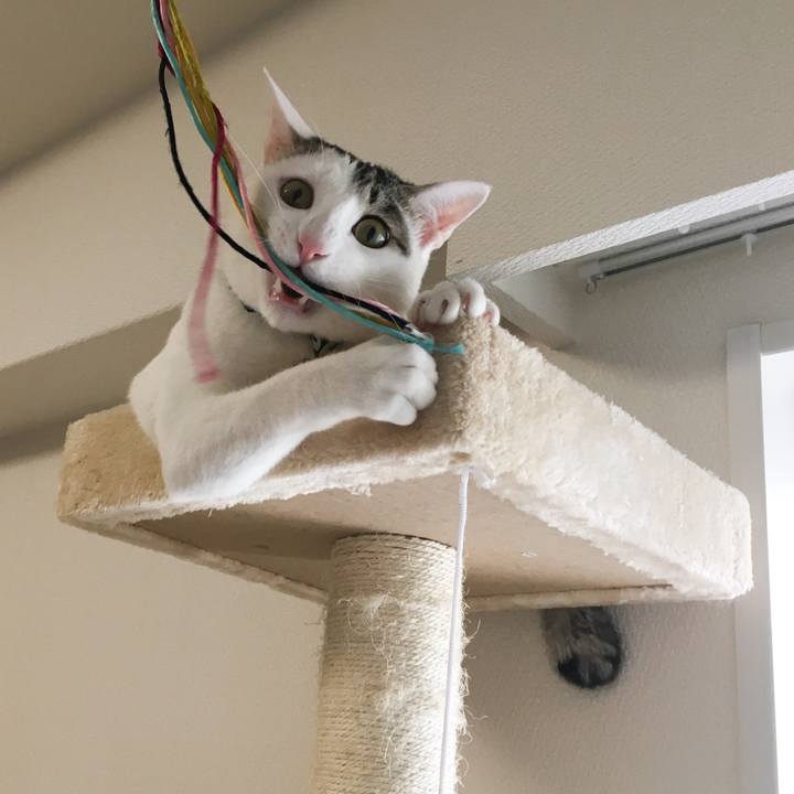 Adcff5ef 9cad 4ce6 b1d2 d715de78937d