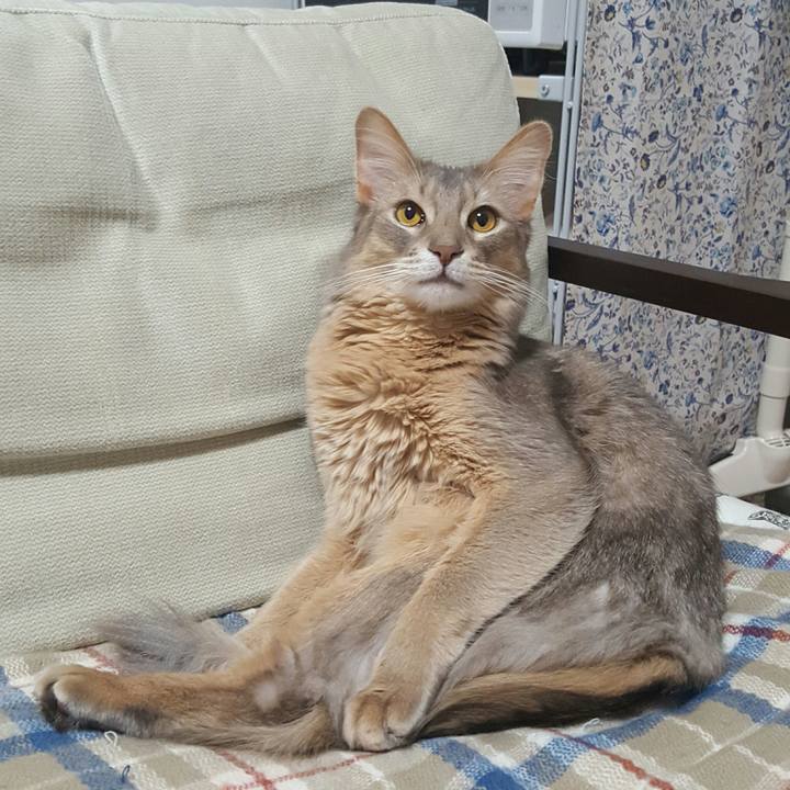 Add00836 d184 4942 b208 91d11400b49c