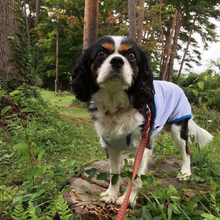 Add06e56 9d88 4fc3 8107 ef30ba04038f