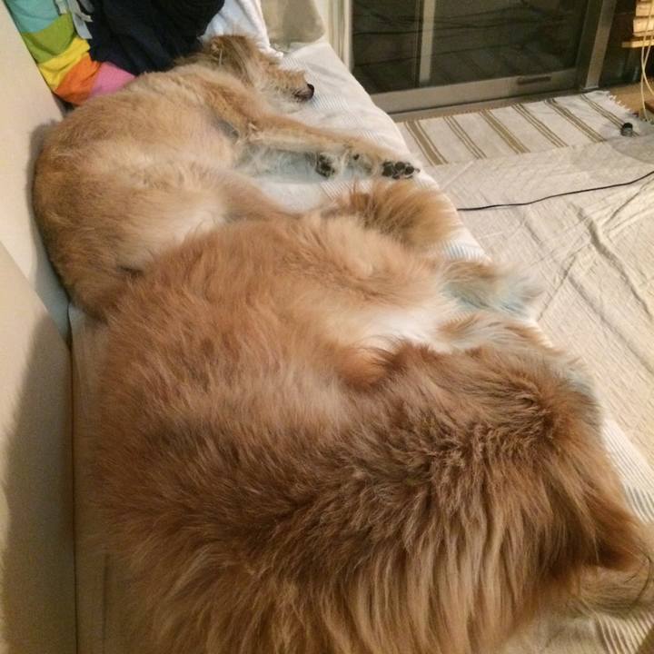 Add0806e 449c 4b2d 8266 9c2a9a4ddd15