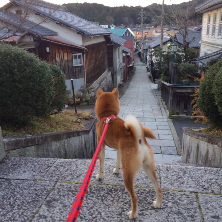 Add16f0b f41f 435e 9f3b e2e393339e95