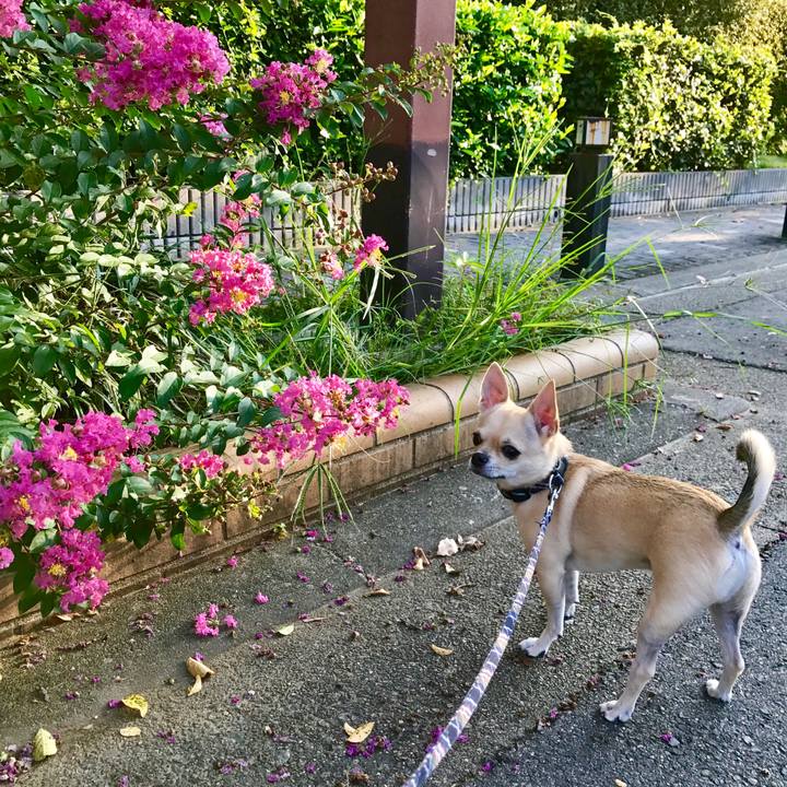 Add1af48 94d9 47e3 bb38 1c7015f02563