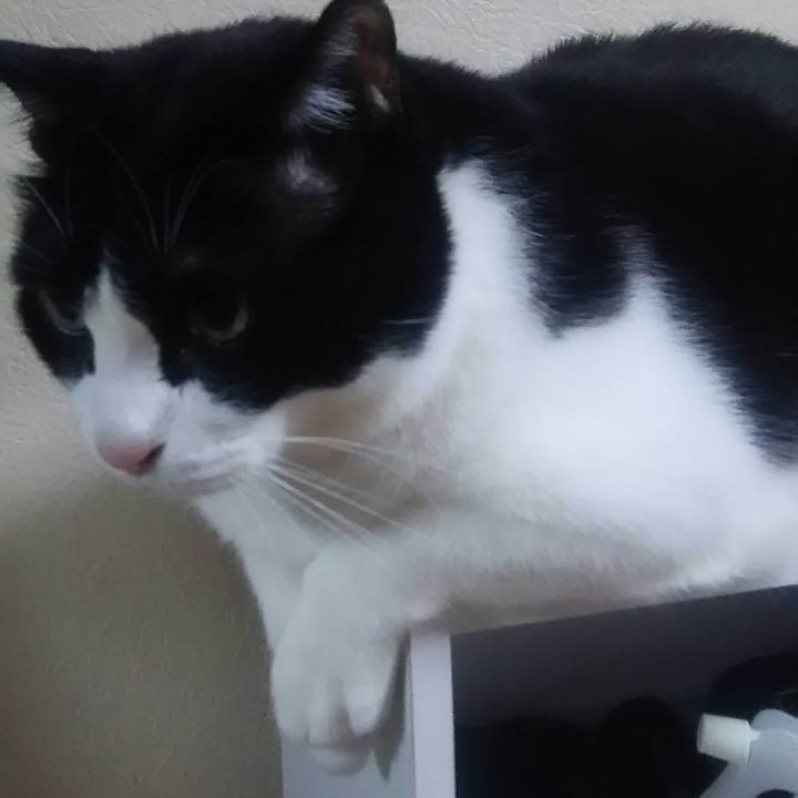 Add2d165 fbd1 429a 820e e64f128ded80