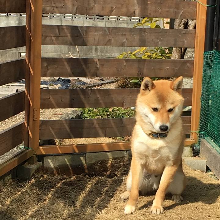 Add2f030 b034 4554 bb89 ea22c2692c3d