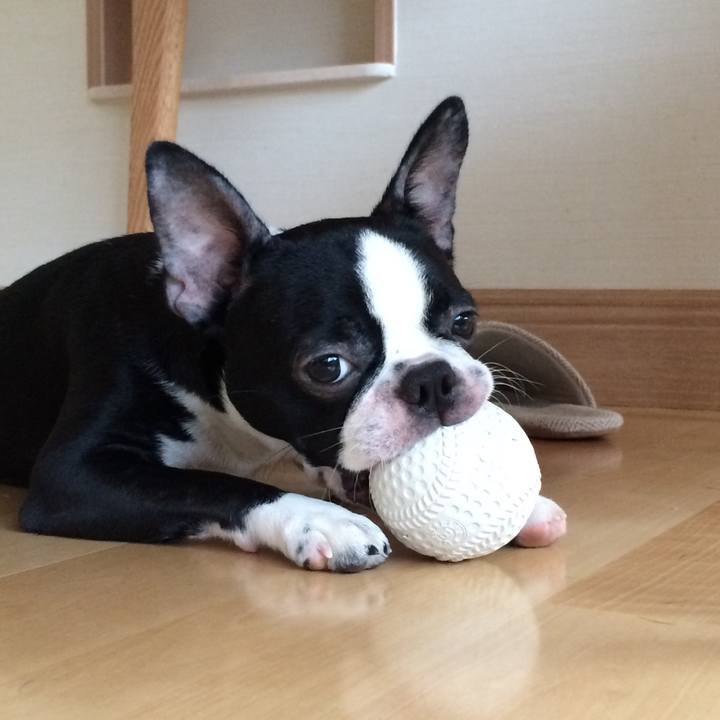 Add3d0c6 3eca 4aea a204 a6af6c0c0930