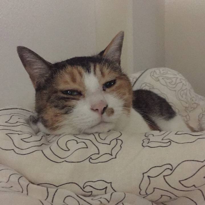 Add3d4b2 58b5 41fb 9f2a 1bcecbcf7570