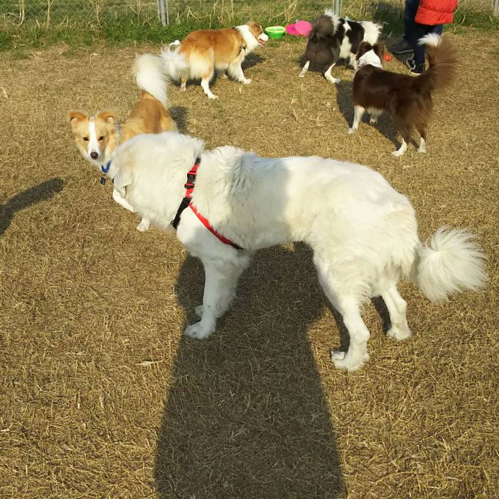 Add3de2a 4840 4b6d 97a1 b4e36a76d1b3